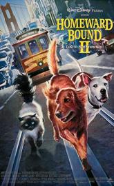 Homeward Bound II: Lost in San Francisco poster