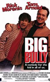 Big Bully poster