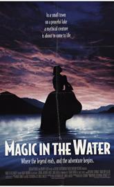 Magic in the Water poster