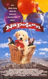 Napoleon poster