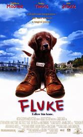 Fluke poster