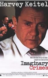 Imaginary Crimes poster