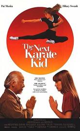 The Next Karate Kid poster
