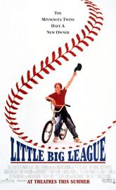 Little Big League poster