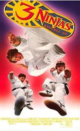 3 Ninjas: Knuckle Up poster