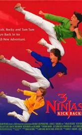 3 Ninjas Kick Back poster