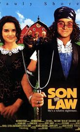 Son in Law poster