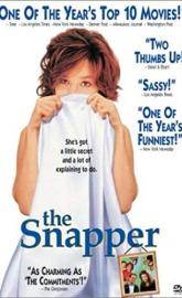 The Snapper poster