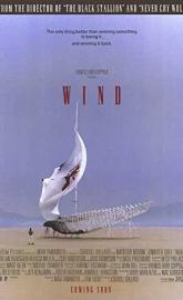 Wind poster