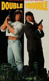Double Trouble poster