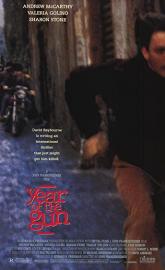 Year of the Gun poster