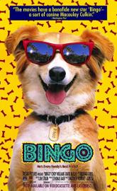 Bingo poster