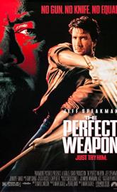 The Perfect Weapon poster