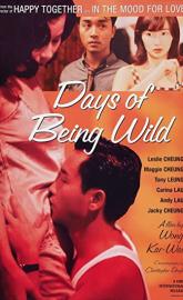 Days of Being Wild poster