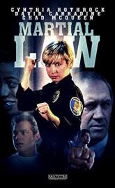 Martial Law poster