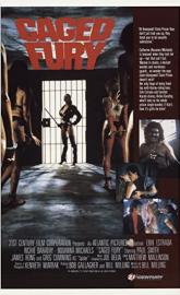 Caged Fury poster