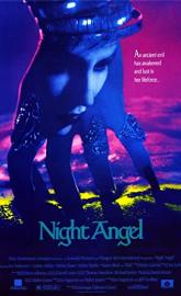 Night Angel poster