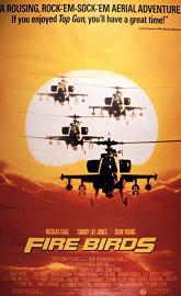 Fire Birds poster