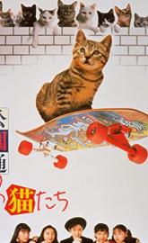 Cats on Park Avenue poster