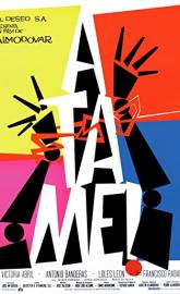 Tie Me Up! Tie Me Down! poster