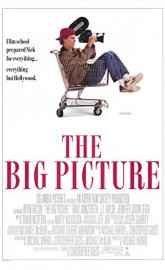 The Big Picture poster