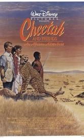 Cheetah poster