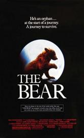 The Bear poster