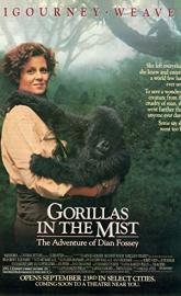 Gorillas in the Mist poster