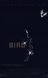 Bird poster