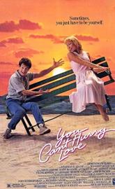 You Can't Hurry Love poster