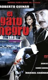 El gato negro poster