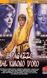 Karate Warrior poster