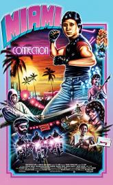 Miami Connection poster