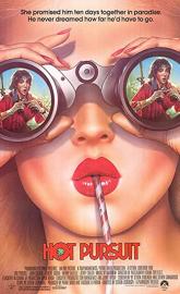 Hot Pursuit poster