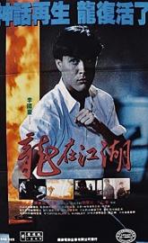 Legacy of Rage poster