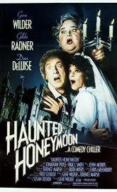Haunted Honeymoon poster