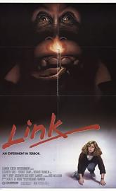 Link poster