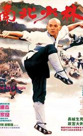 Martial Arts of Shaolin poster