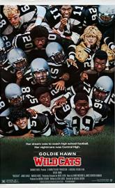 Wildcats poster