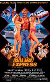 Malibu Express poster