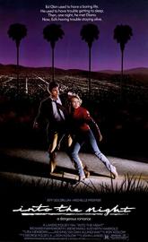 Into the Night poster