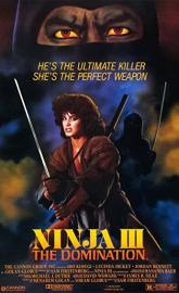 Ninja III: The Domination poster