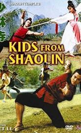 Kids from Shaolin poster
