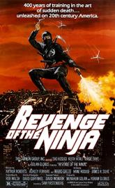 Revenge of the Ninja poster