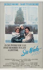 Six Weeks poster