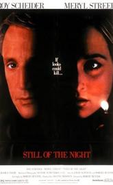 Still of the Night poster