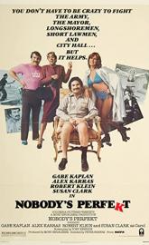 Nobody's Perfekt poster