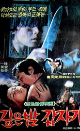 Suddenly in the Dark poster