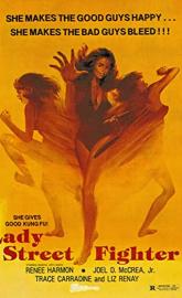 Lady Street Fighter poster