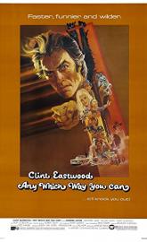 Any Which Way You Can poster